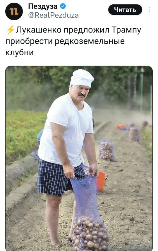 Мультфильм.