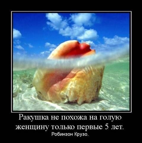 В Техасе мужчина ввел половой член в гигантского моллюска