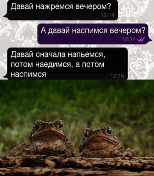 Так себе картинки 15.05.25