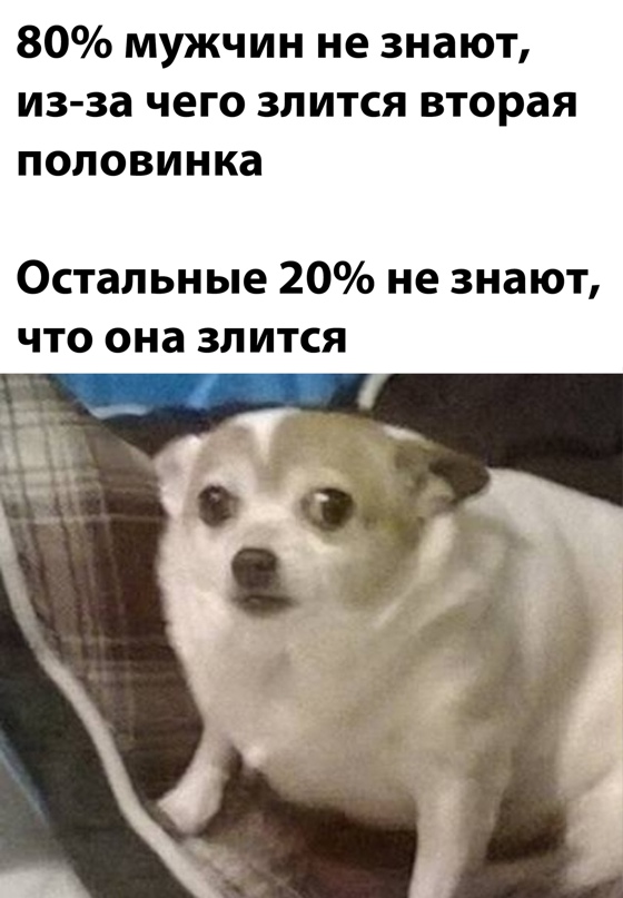 Веселые картинки в понедельник (11.08)