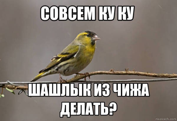 Чиж, шашлык и рязанское жигулевское