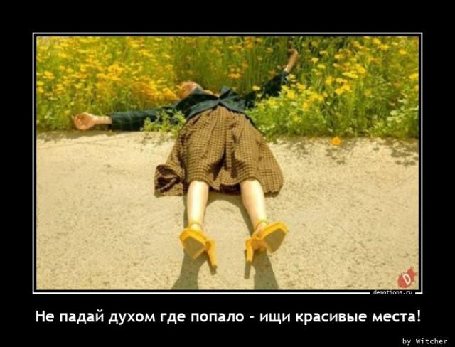 Картинки для деградации 57 (разной степени свежести)
