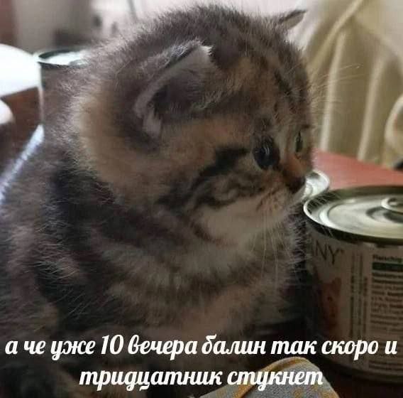 Картинки для деградации 72 (разной степени свежести)