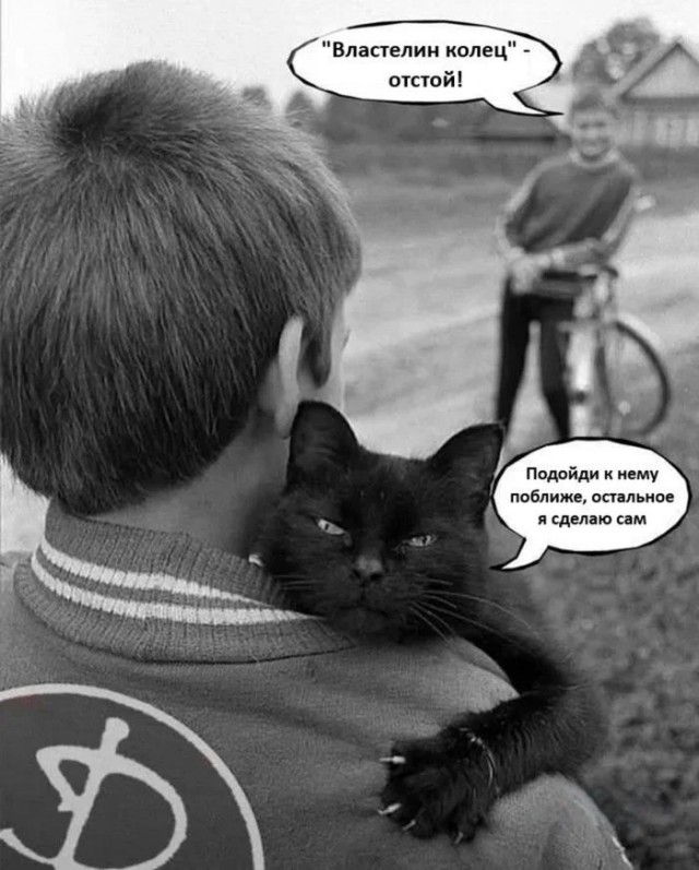 К котовторнику: подборка картинок-баянов с котиками и про котиков. Выпуск 24.