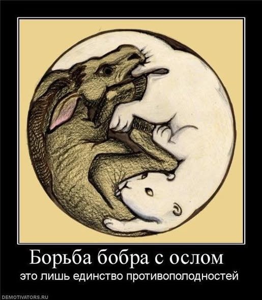 Картинки для деградации 95 (разной степени свежести)