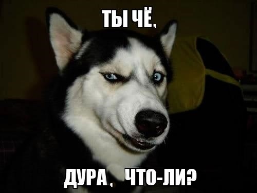Долина попросила перенести дату освобождения квартиры с 5 на 9 января