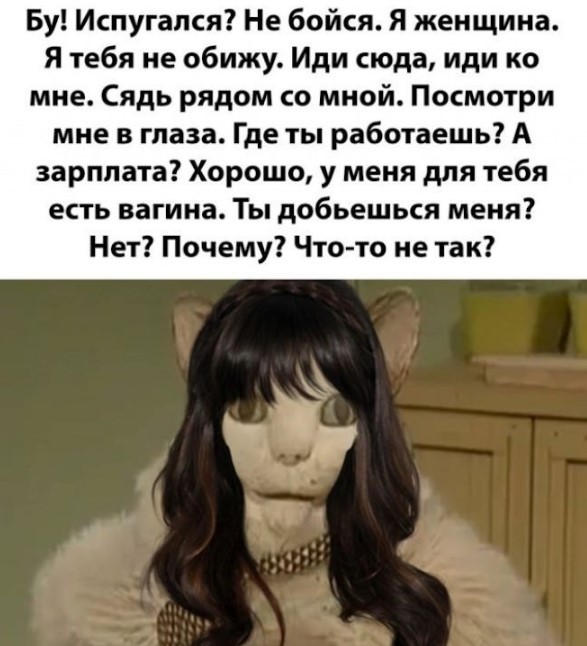 Картиночки, баянчики 07 июня