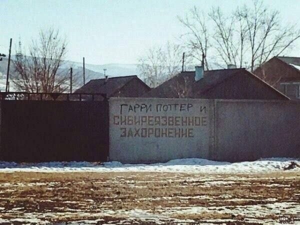 Картинки для деградации 258 ( разной степени свежести)