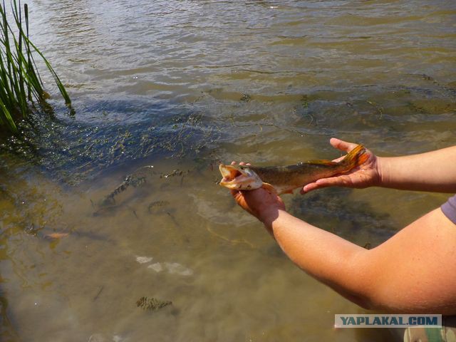 Рыбалка в Астрахани