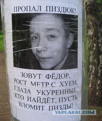 Внимание, розыск!