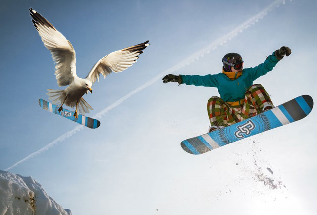 Zhaberbottle 5.0 – отборочный тур