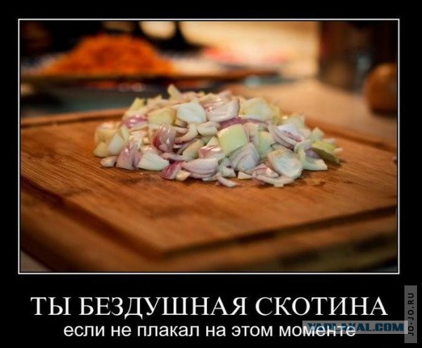 Манты настоящие, классические