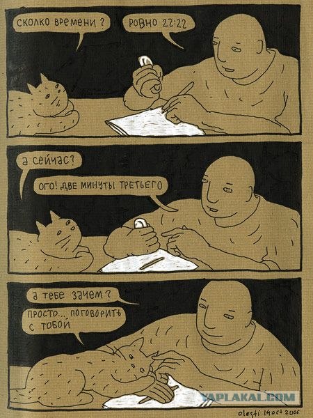 Книга: Кот Саймона сам по себе
