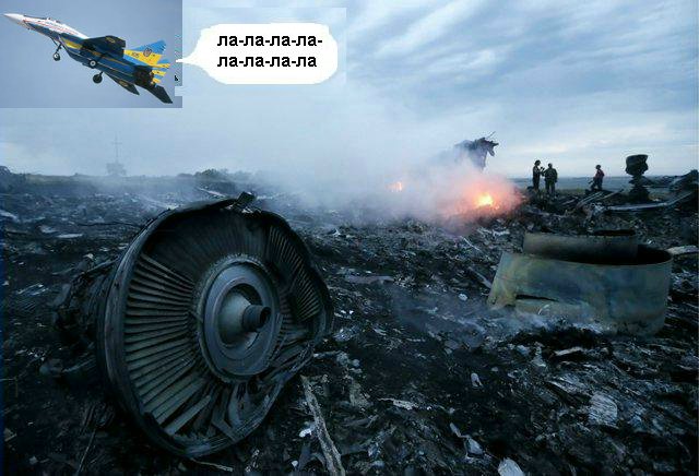 Украинский БУК промазал -  добивали истребители!