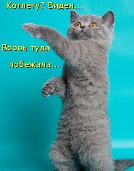 Подборка смешных картинок :)