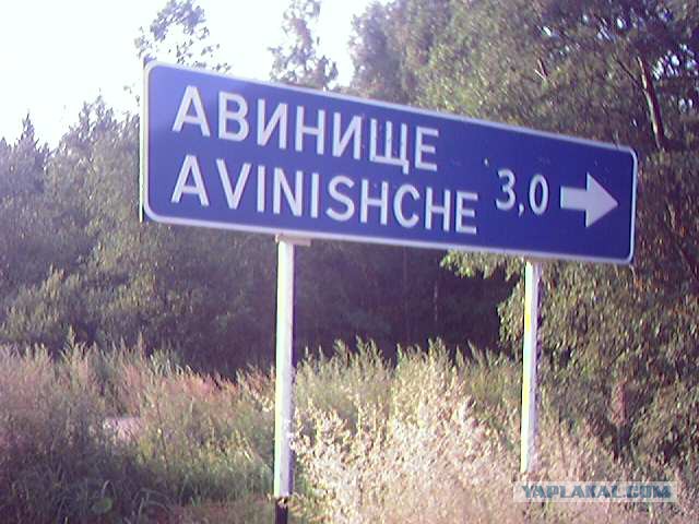 Казусы жизни