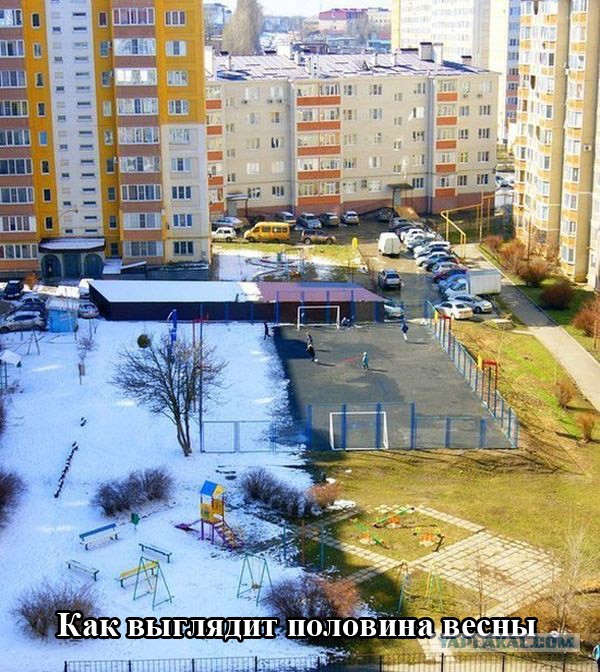 Картинки