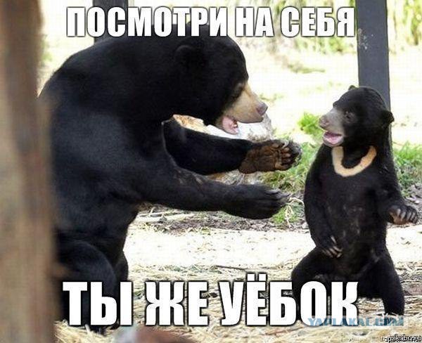 Украина : жизнь в зазеркалье
