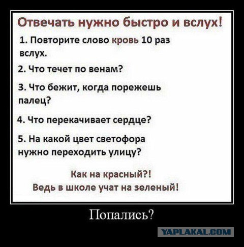 Приколы из соцсетей