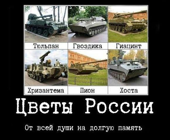 Сербия может присоединиться к...