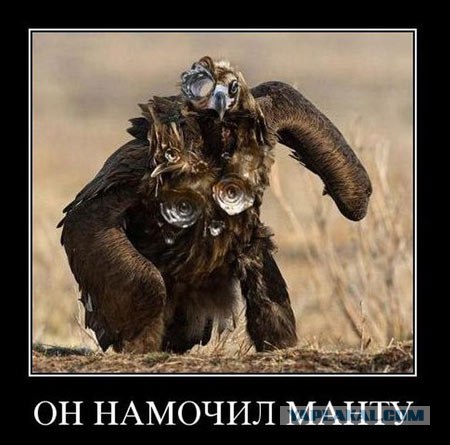 Аккуратнее с манту!