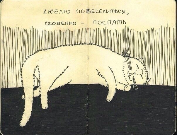 Веселые картинки