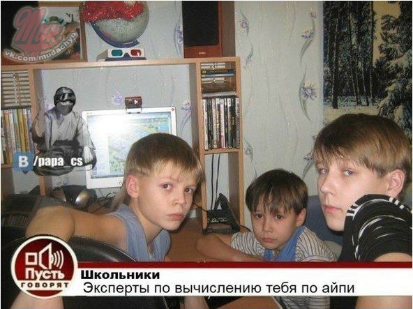 В волчьей стае..