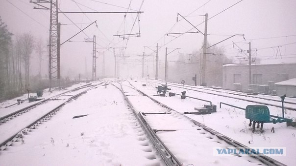 Снег В Перми