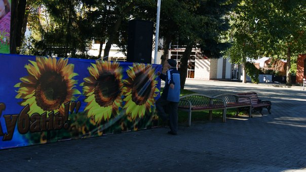 Веселые картинки