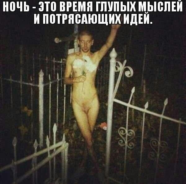 Картинки