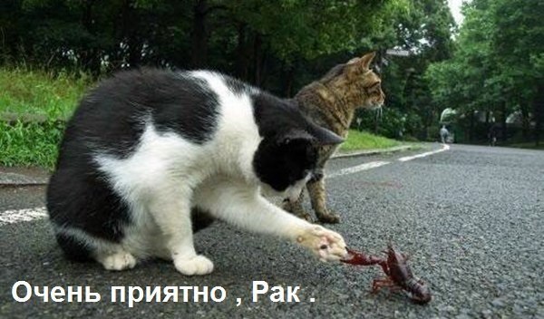 Картинки и демотиваторы