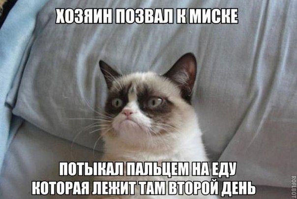 Картинки и демотиваторы