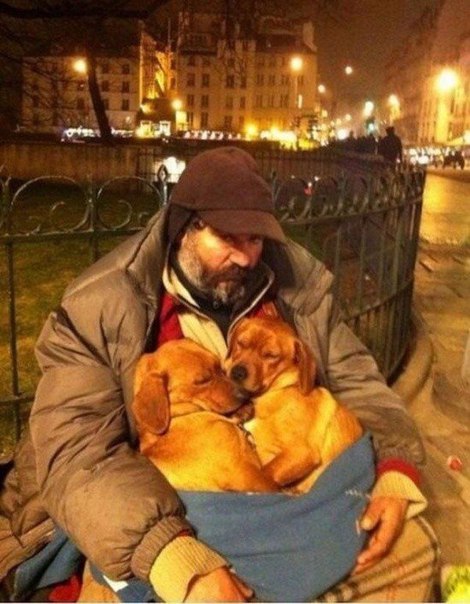 Картинки и демотиваторы