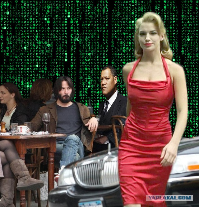 Не желаете ли пожабить