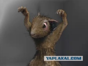 Мистика какая-то