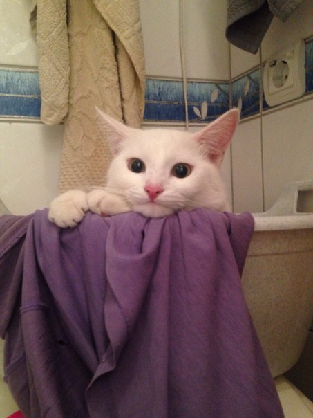 Интересные фотографии из прошлого