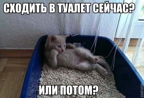 Мохнатые беспредельщики
