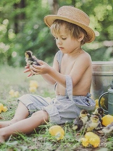 Немного картинок и гифок.