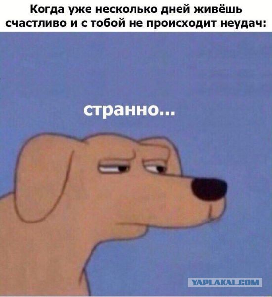Подсмотрено на просторах