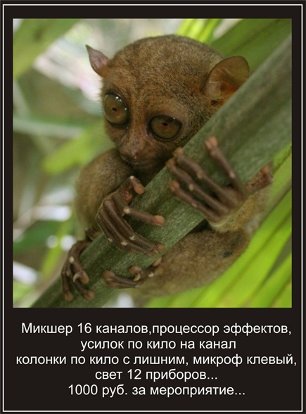 Долгопяты (лат. Tarsius)