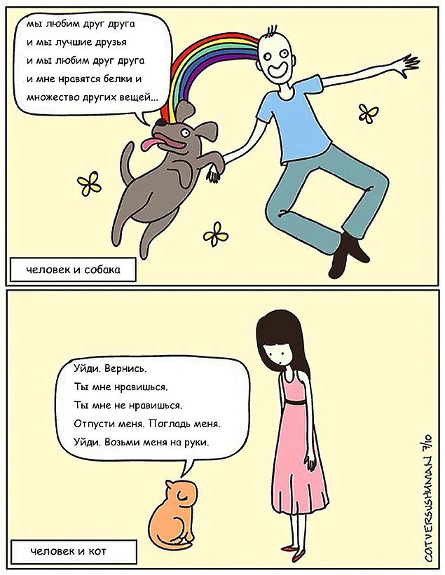 Комиксы, показывающие, что значит жизнь с котом
