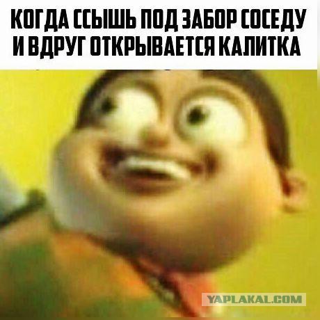 Подборка картинок
