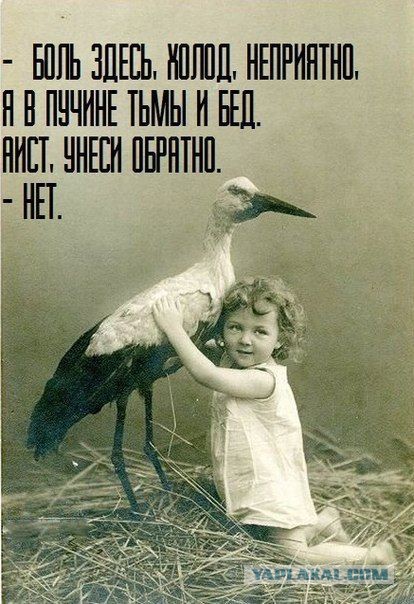 Мужчины объяснили, почему не уступают место женщинам.