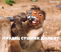 Захарова показала, как начинает день