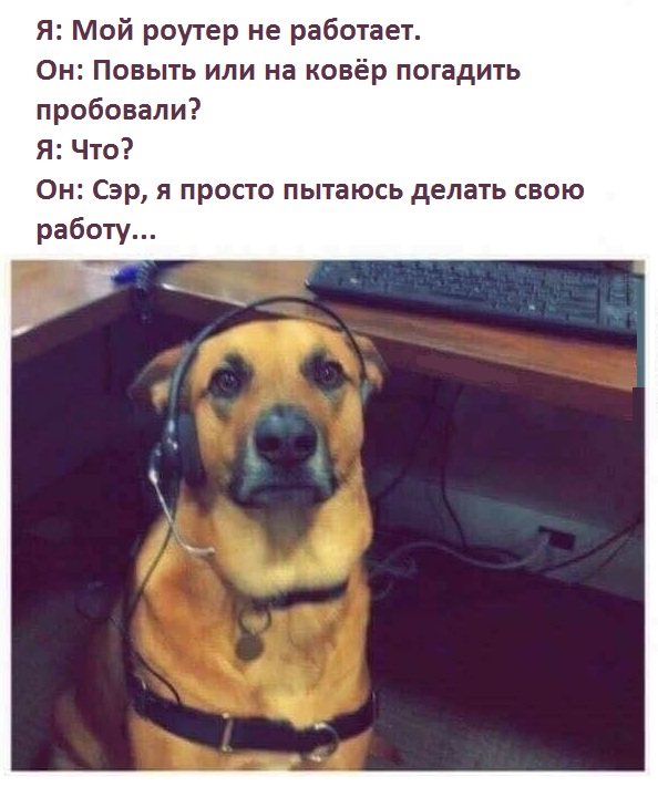 Забавные комментарии, шутки и фразы из этих ваших интернетов