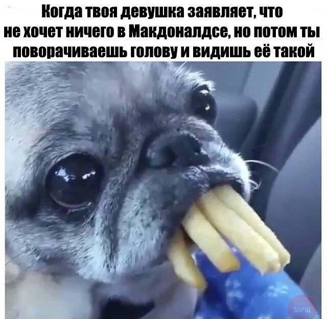 Подборка интересных и веселых картинок