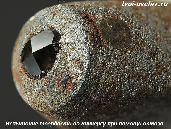 Картинок всяких