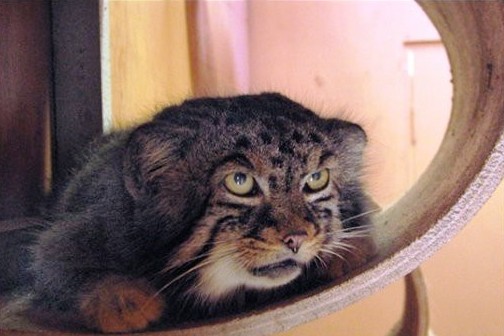 Наркоманских анекдотов с картинками