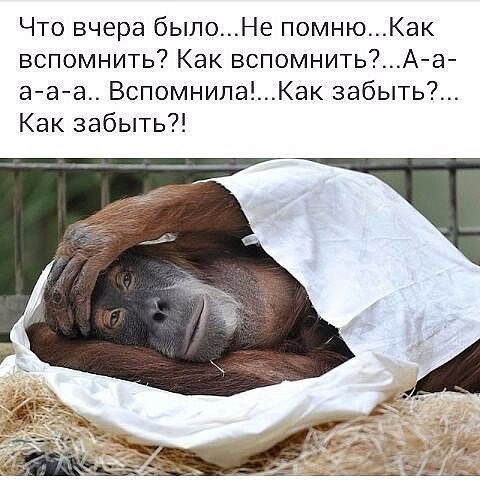 Немного алкоюмора