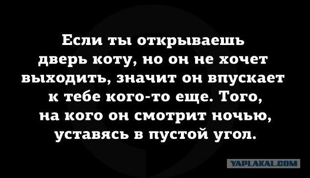 Смешные комментарии из социальных сетей 25.05.2018